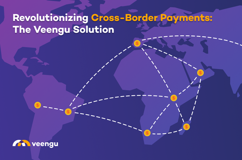 Cross-border transfer software by Veengu, cross-border money transfer platform, cross-border payment software