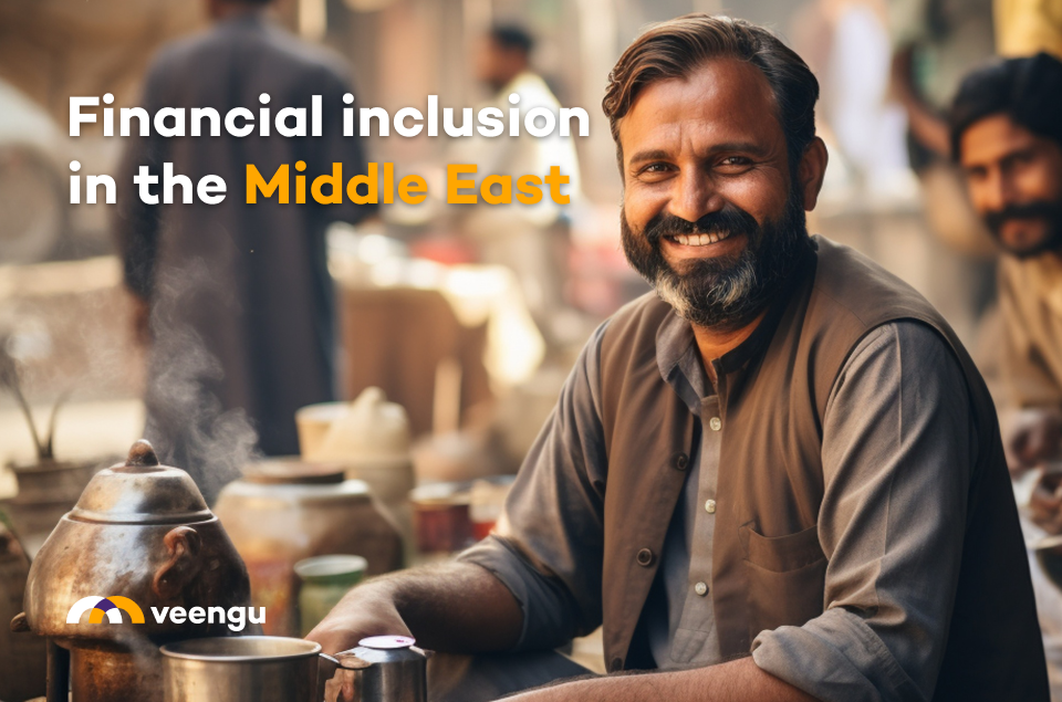 Financial inclusion in the Middle East and North Africa, Financial inclusion in the MENA region